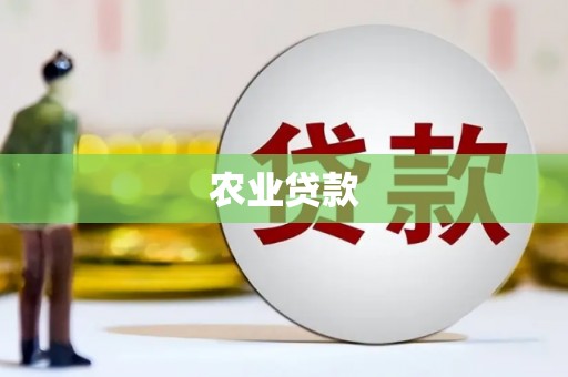 镇赉农业贷款