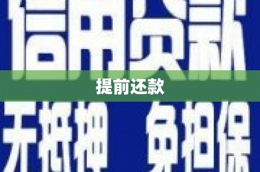 镇赉提前还款