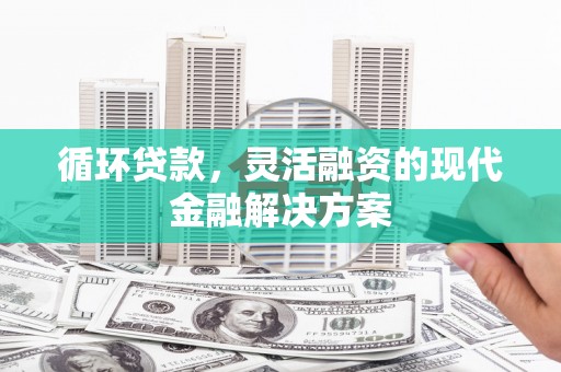 镇赉循环贷款，灵活融资的现代金融解决方案