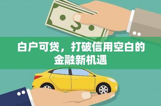 镇赉白户可贷，打破信用空白的金融新机遇