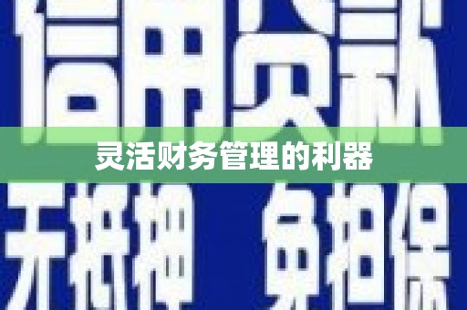 镇赉灵活财务管理的利器