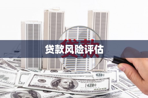 镇赉贷款风险评估