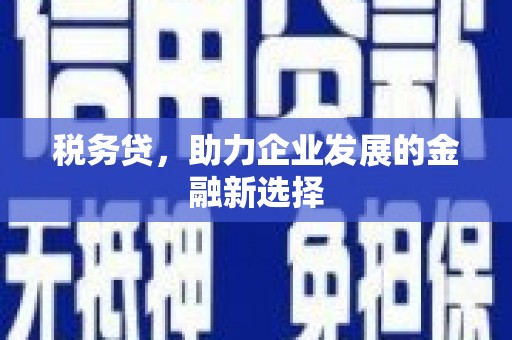 镇赉税务贷，助力企业发展的金融新选择