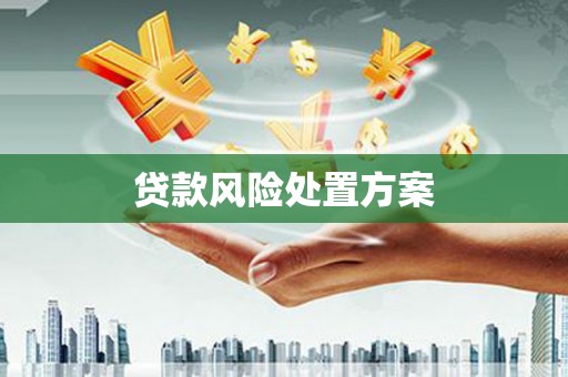 镇赉贷款风险处置方案