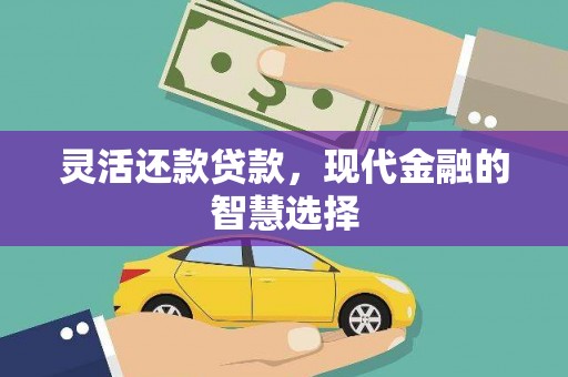 镇赉灵活还款贷款，现代金融的智慧选择