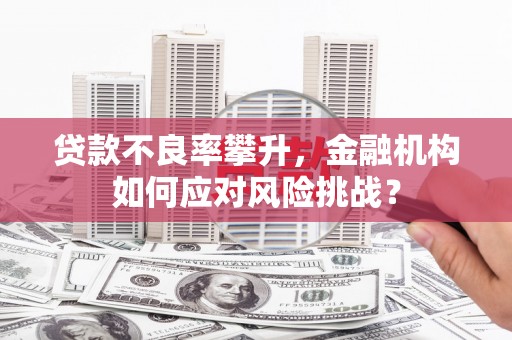 镇赉贷款不良率攀升，金融机构如何应对风险挑战？