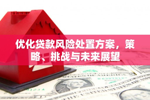 镇赉优化贷款风险处置方案，策略、挑战与未来展望
