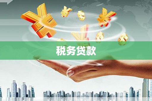 镇赉税务贷款