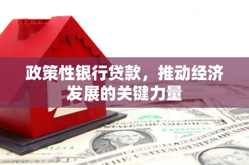 镇赉政策性银行贷款，推动经济发展的关键力量