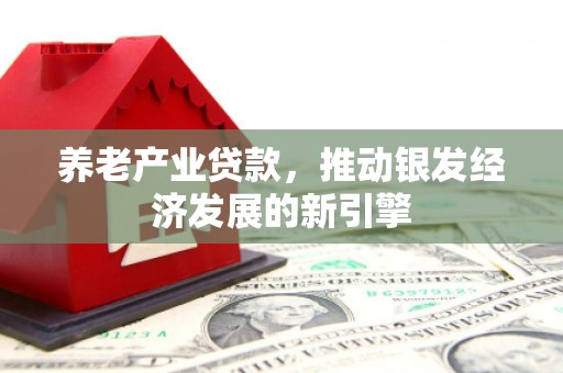 镇赉养老产业贷款，推动银发经济发展的新引擎