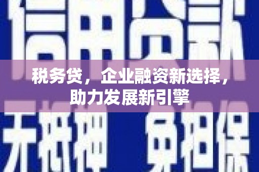 镇赉税务贷，企业融资新选择，助力发展新引擎