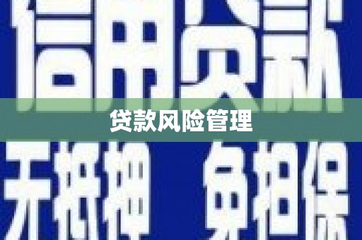 镇赉贷款风险管理