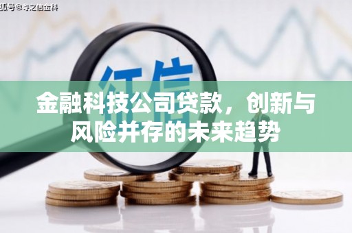 镇赉金融科技公司贷款，创新与风险并存的未来趋势