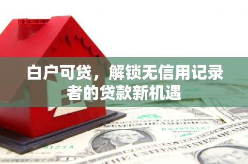 镇赉白户可贷，解锁无信用记录者的贷款新机遇