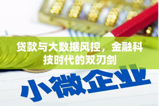 镇赉贷款与大数据风控，金融科技时代的双刃剑
