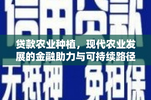 镇赉贷款农业种植，现代农业发展的金融助力与可持续路径