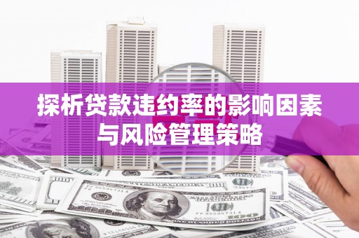 镇赉探析贷款违约率的影响因素与风险管理策略