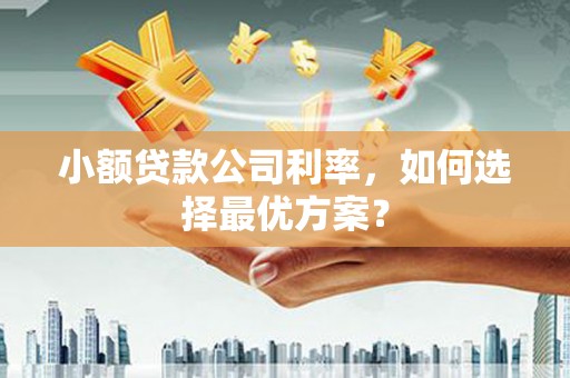 镇赉小额贷款公司利率，如何选择最优方案？