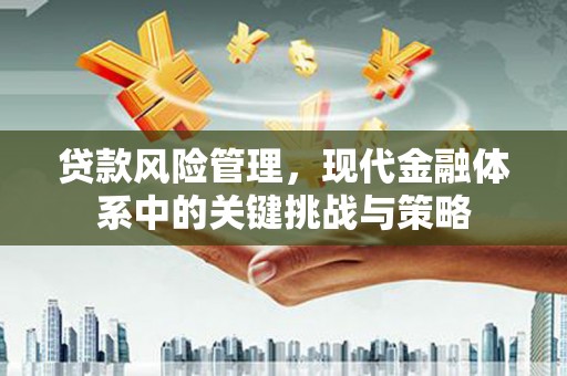 镇赉贷款风险管理，现代金融体系中的关键挑战与策略