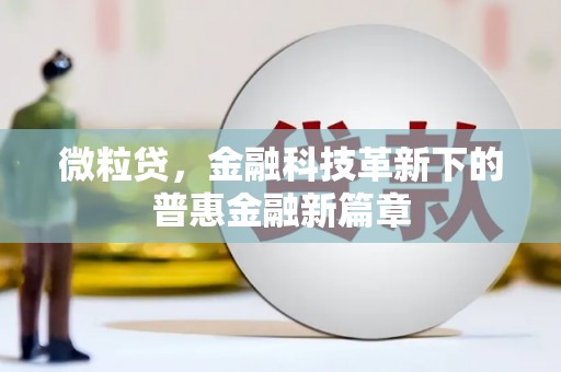 镇赉微粒贷，金融科技革新下的普惠金融新篇章