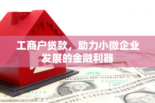 镇赉工商户贷款，助力小微企业发展的金融利器