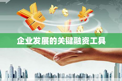 镇赉企业发展的关键融资工具