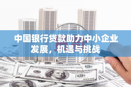 镇赉中国银行贷款助力中小企业发展，机遇与挑战