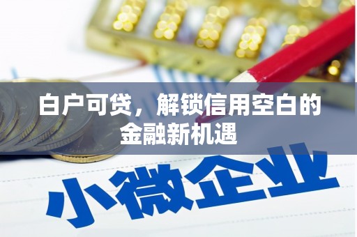 镇赉白户可贷，解锁信用空白的金融新机遇