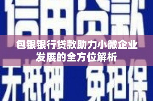 镇赉包银银行贷款助力小微企业发展的全方位解析