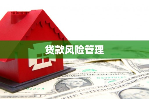 镇赉贷款风险管理