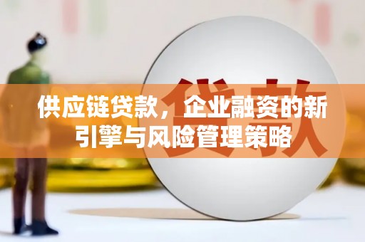 镇赉供应链贷款，企业融资的新引擎与风险管理策略