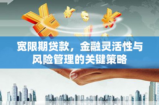 镇赉宽限期贷款，金融灵活性与风险管理的关键策略