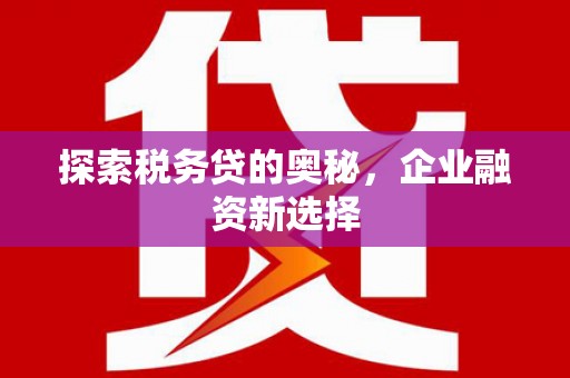 镇赉探索税务贷的奥秘，企业融资新选择