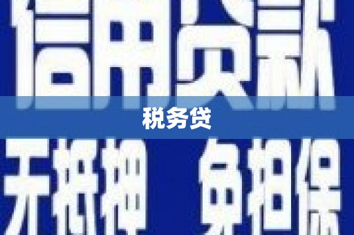 镇赉税务贷