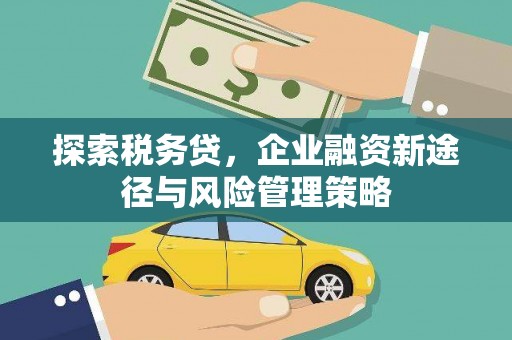镇赉探索税务贷，企业融资新途径与风险管理策略