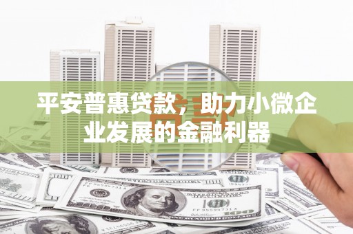 镇赉平安普惠贷款，助力小微企业发展的金融利器
