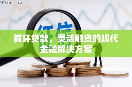 镇赉循环贷款，灵活融资的现代金融解决方案