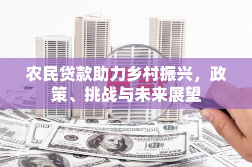 镇赉农民贷款助力乡村振兴，政策、挑战与未来展望