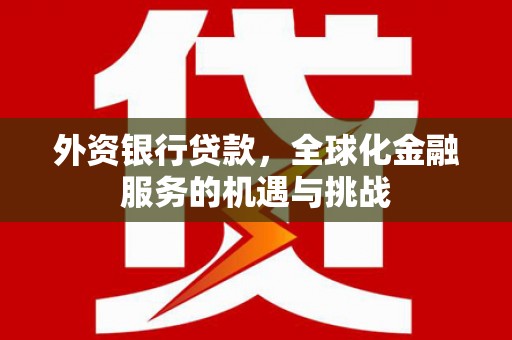 镇赉外资银行贷款，全球化金融服务的机遇与挑战