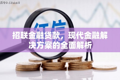 镇赉招联金融贷款，现代金融解决方案的全面解析