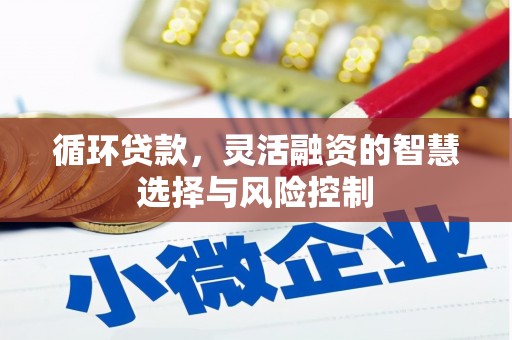 镇赉循环贷款，灵活融资的智慧选择与风险控制