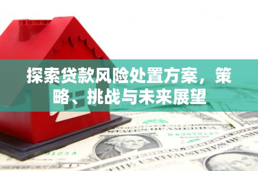 镇赉探索贷款风险处置方案，策略、挑战与未来展望
