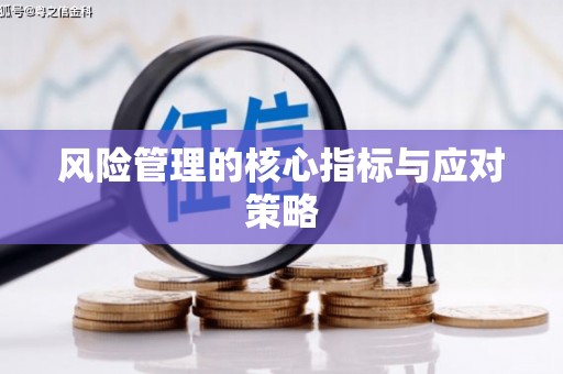 镇赉风险管理的核心指标与应对策略