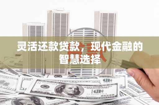 镇赉灵活还款贷款，现代金融的智慧选择
