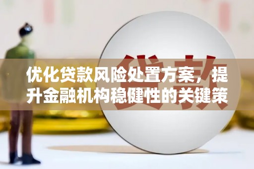 镇赉优化贷款风险处置方案，提升金融机构稳健性的关键策略