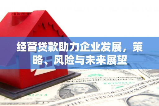 镇赉经营贷款助力企业发展，策略、风险与未来展望