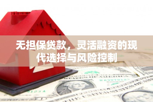 镇赉无担保贷款，灵活融资的现代选择与风险控制