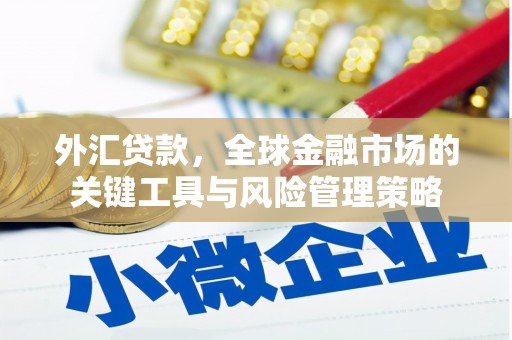镇赉外汇贷款，全球金融市场的关键工具与风险管理策略