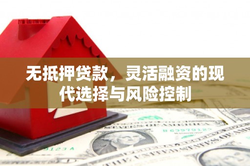 镇赉无抵押贷款，灵活融资的现代选择与风险控制