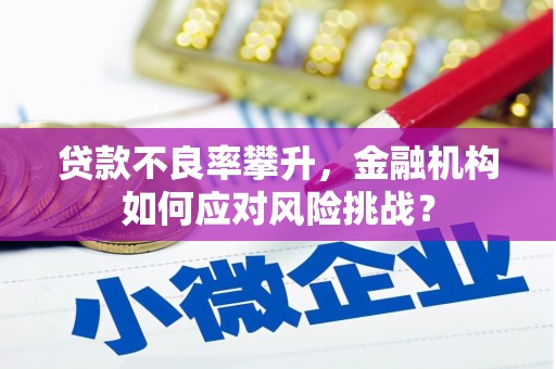 镇赉贷款不良率攀升，金融机构如何应对风险挑战？